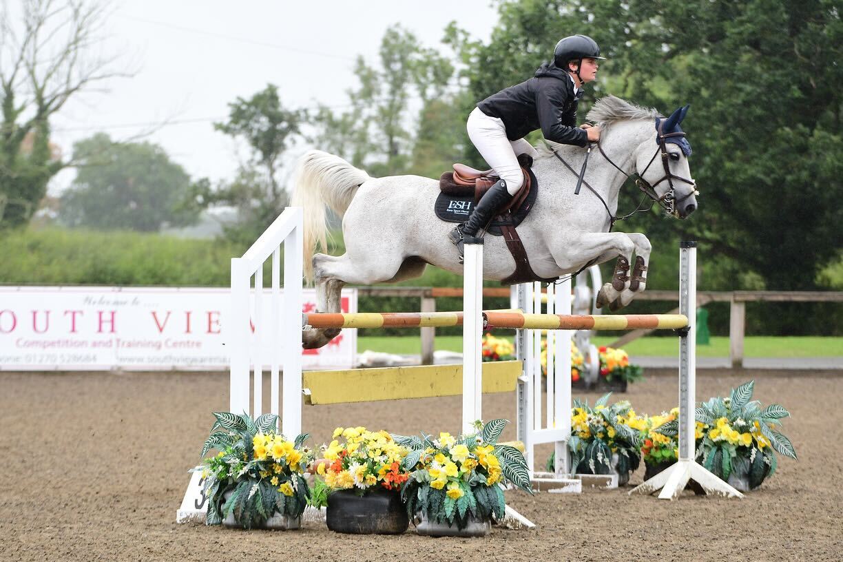 Horse Brokerage